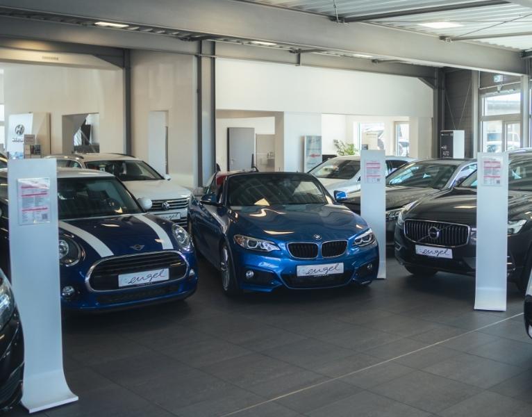 Verschiedene Premiumfahrzeuge, darunter Mini, BMW Cabrio und Volvo SUV, in der Ausstellungshalle vom Autohaus Engel